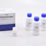 ALBUMIN, 3 x 100 mL