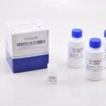 TRIGLYCERIDES LIQUID, 3 x 100 mL + ST