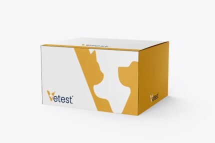 Canine Distemper Virus Antigen (CDV Ag) Rapid Test