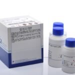 GPT/ALT UV LIQUID, 250 mL